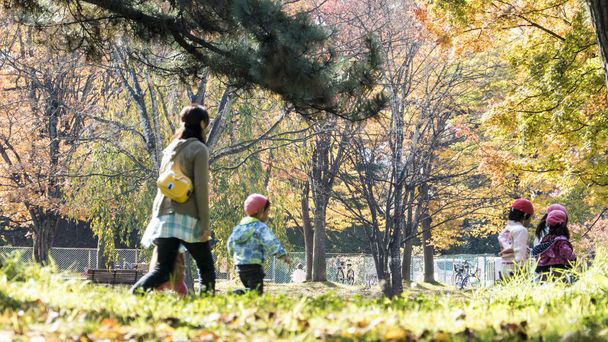 Beautiful season at the Hirosaki Castle Park in Hirosaki, Aomori - Zdjęcie, obraz