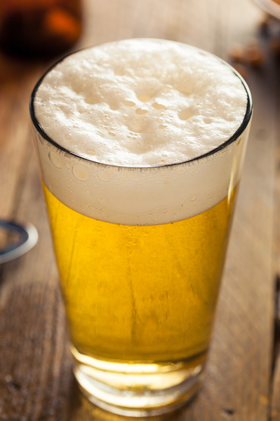 Refreshing Summer Pint of Beer - Foto, Imagem