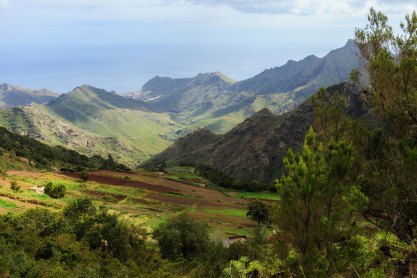 wunderschöne Landschaft Teneriffas - Anaga-Berge - Foto, Bild