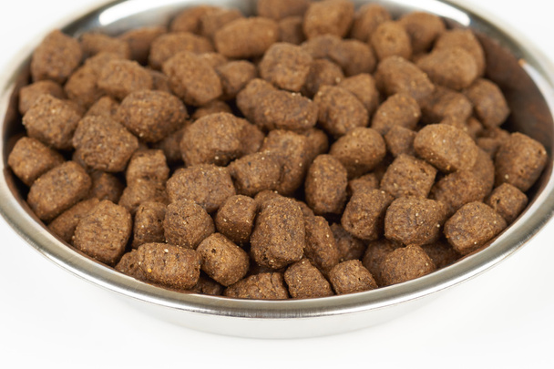 Dog food in bowl - Foto, imagen