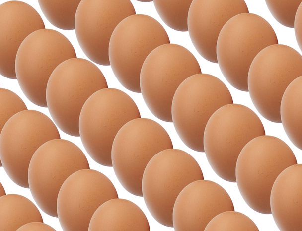 Filas de huevos marrones
 - Foto, imagen