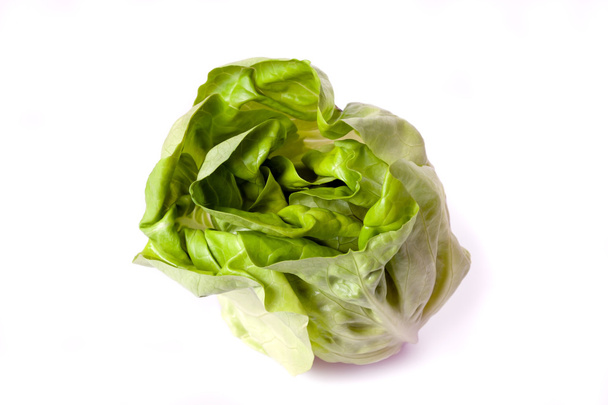 Fresh butterhead lettuce - Zdjęcie, obraz