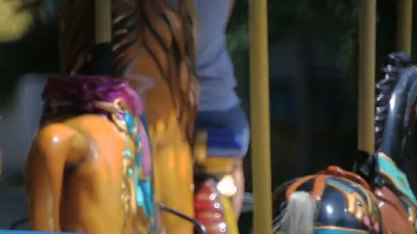Amusement park carousel - Footage, Video