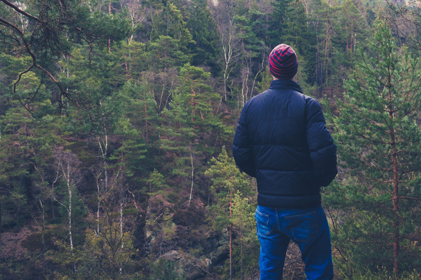 giovane uomo in piedi nella natura foresta alla ricerca di distanza
 ,  - Foto, immagini
