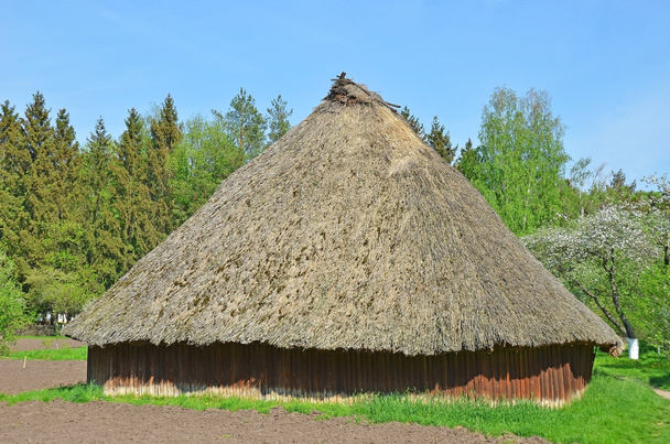 Старовинний сарай з солом'яним дахом
 - Фото, зображення