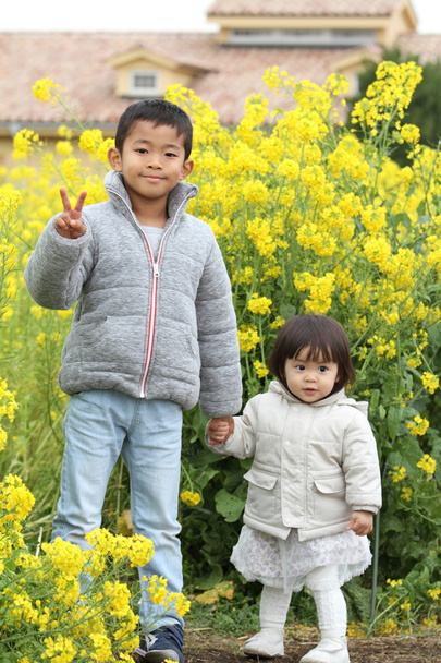 Japanese brother and sister (6 years old boy and 1 year old girl) in yellow field mustard - Photo, Image