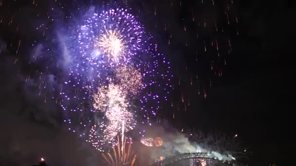 Hafenbrücke violettes Feuerwerk - Filmmaterial, Video