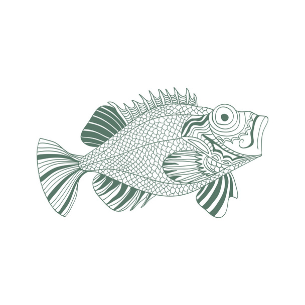 sketchy fish sea bass in cartoon style on a white background - Vector, Image