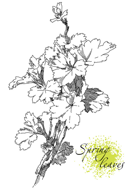 Beauty hand drawn flowers - Vector, Image