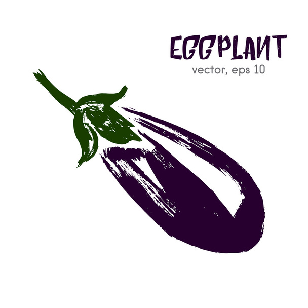 Sketched vegetable illustration of eggplant. Hand drawn brush fo - ベクター画像