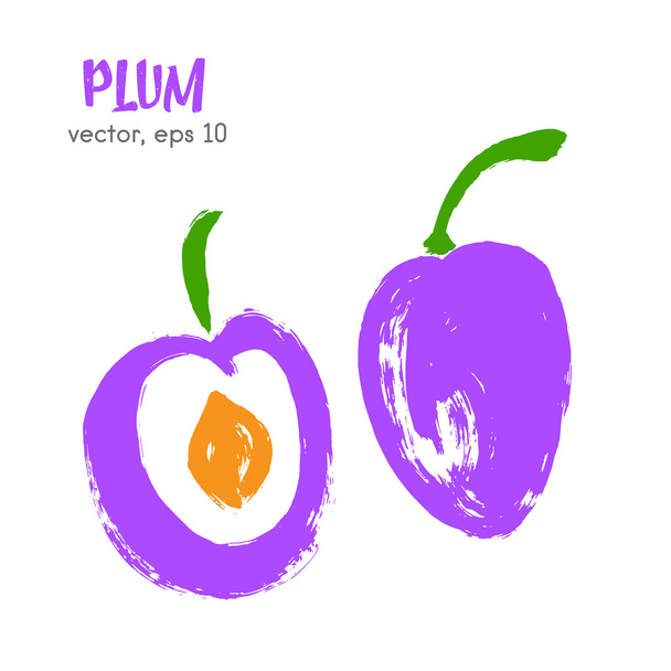 Sketched fruit illustration of plum. Hand drawn brush food ingre - Вектор, зображення