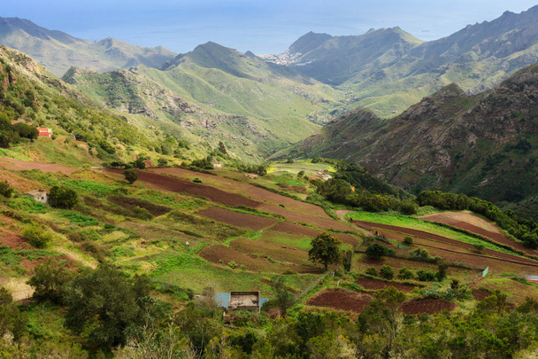 Hermoso paisaje de Tenerife - Anaga montañas
 - Foto, Imagen