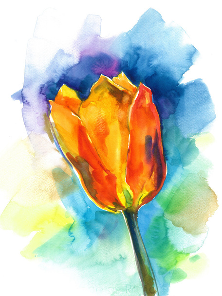 watercolor sketch of red tulips on a blue background - Photo, Image
