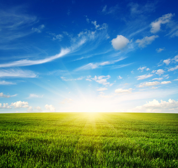 groen veld en lucht - Foto, afbeelding