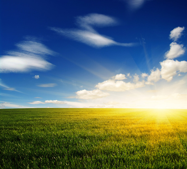 campo verde y cielo - Foto, imagen