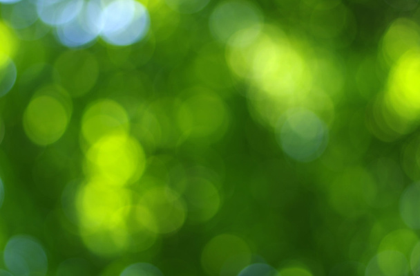 Verde bokeh abstracto
 - Foto, imagen