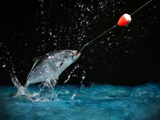Catching a big fish at night - Photo, Image