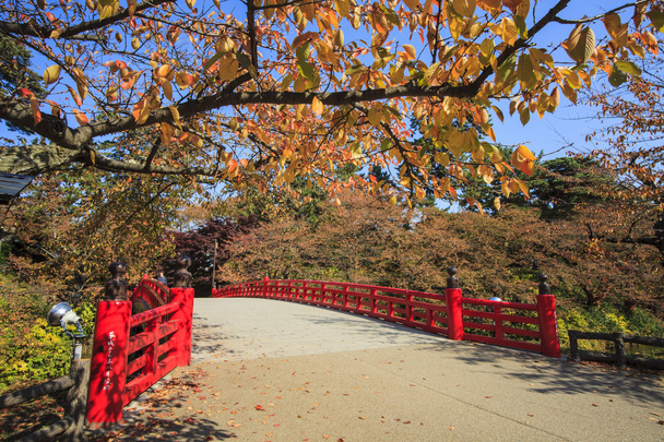 Bela temporada no Hirosaki Castle Park em Hirosaki, Aomori
 - Foto, Imagem