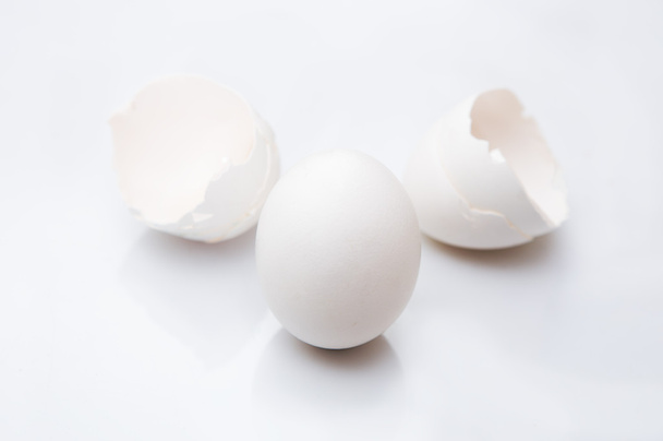 egg and egg shell - Foto, imagen