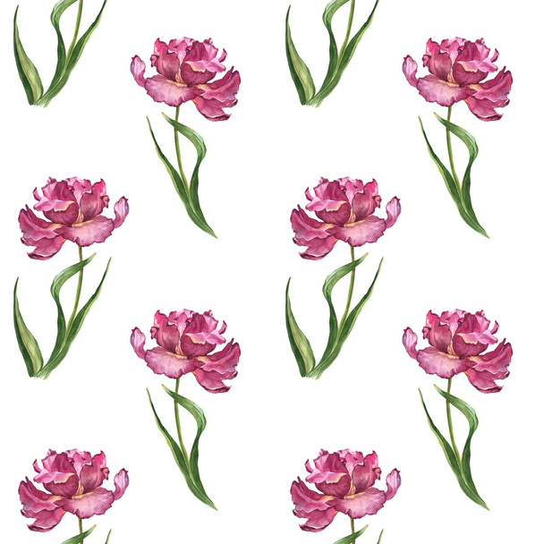 Watercolor colorful spring and summer flowers seamless pattern with pink tulips - Foto, afbeelding