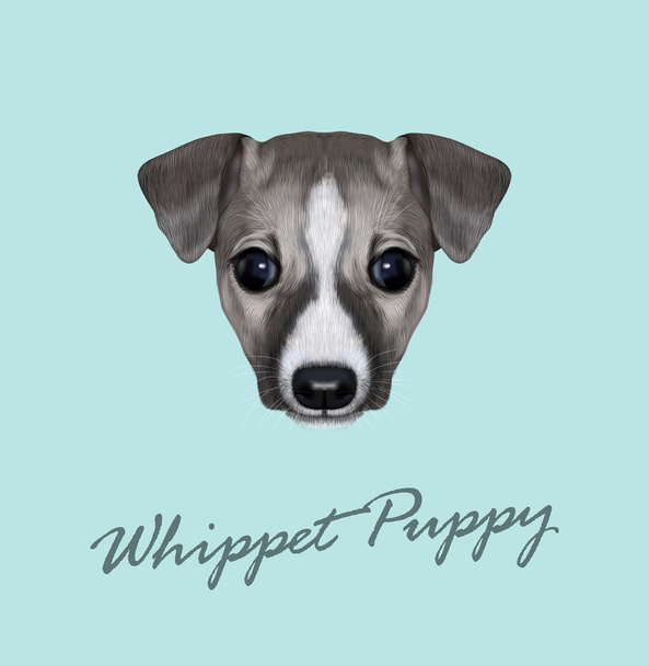 Vector portret van Whippet geïllustreerd pup.  - Vector, afbeelding
