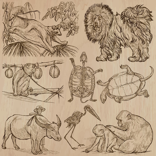 Animals - hand drawn vector pack - Vetor, Imagem