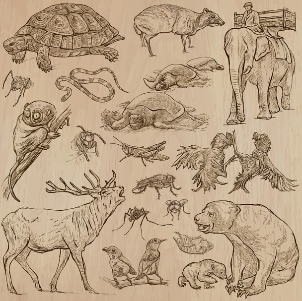 Animals - hand drawn vector pack - Vector, Imagen