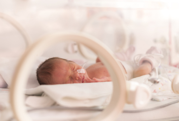 Premature newborn  baby girl - Foto, Bild