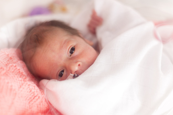 Erken yenidoğan bebek kız - Fotoğraf, Görsel
