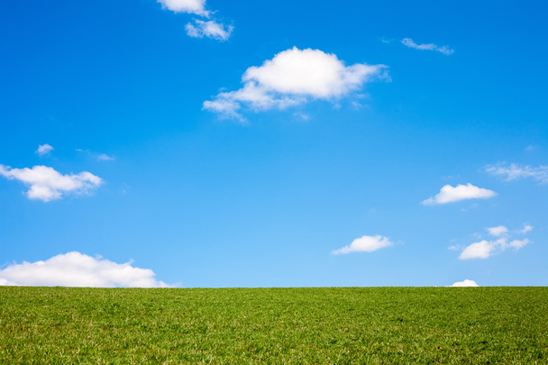 Backgorunds の緑の芝生、青い空 - 写真・画像