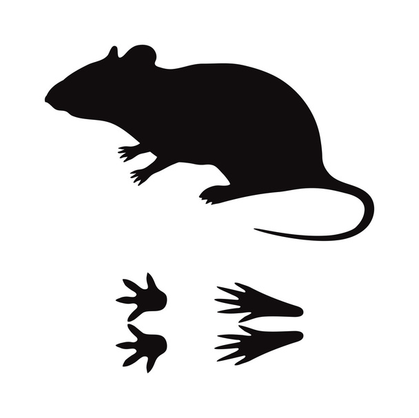 Black silhouette rat mouse wild animal zoo vector. - Vector, Image