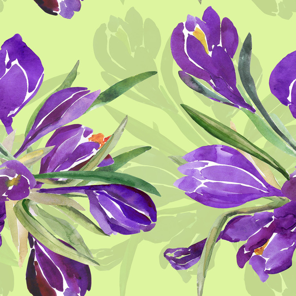 Seamless watercolor illustration of crocus flowers - Фото, зображення