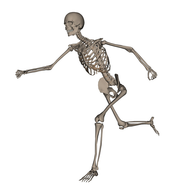Ανθρώπινο σκελετό τρέξιμο-3d καθιστούν - Φωτογραφία, εικόνα