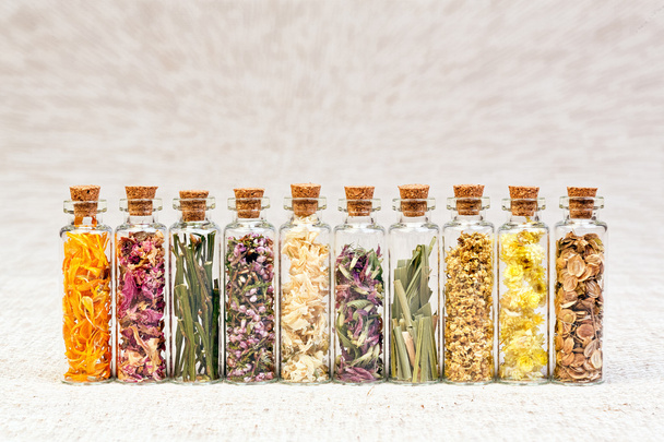 Kruiden voor homeopathische gebruik. - Foto, afbeelding