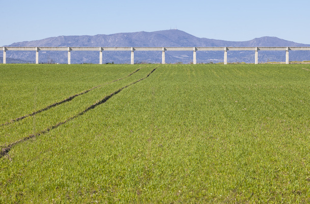 Elevated concrete irrigation canal  - Photo, Image