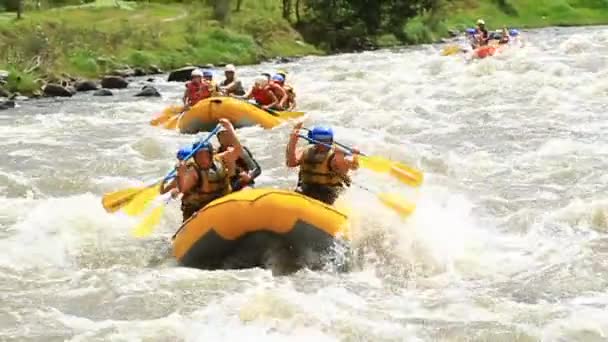 Whitewater River Rafting Boat With People Model Release Extreme Sport - Video, Çekim