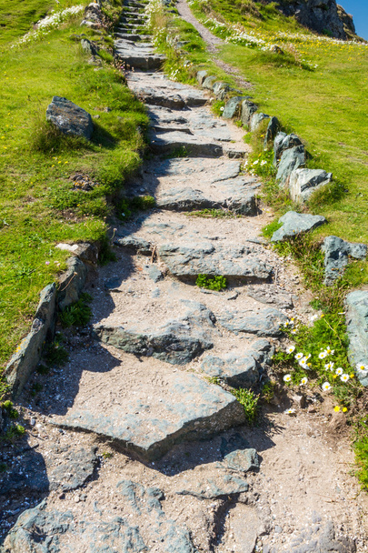 Stome flagged steps on path  - Foto, Bild