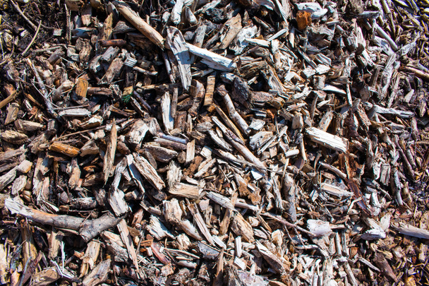 dřevěné piliny textura - Fotografie, Obrázek
