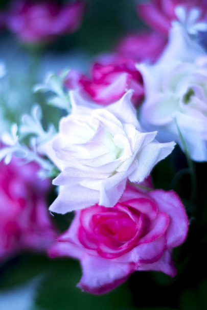 Güzel bahar çiçekleri - Fotoğraf, Görsel