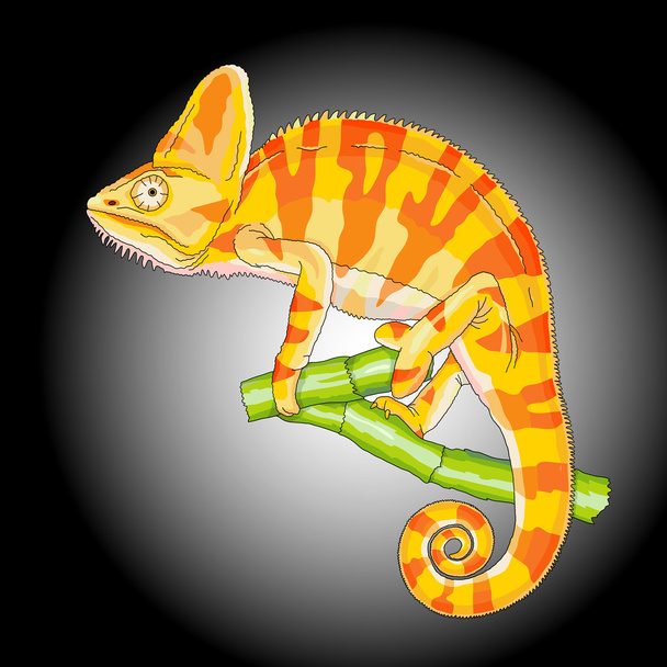 yellow chameleon on a branch - Vector, Image