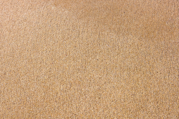 close up of sea beach sand or desert sand - Valokuva, kuva