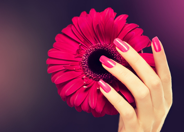 vrouwelijke roze manicure - Foto, afbeelding
