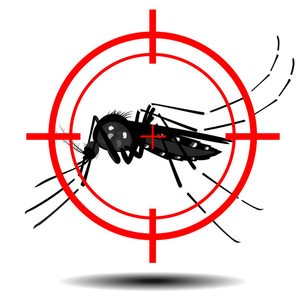 szúnyogok és a szúnyogok cél, lapos kivitel - Vektor, kép
