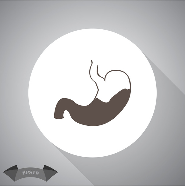 Human Stomach icon - Vector, Image