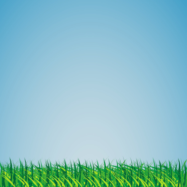 Grass against the sky - Vector, Image