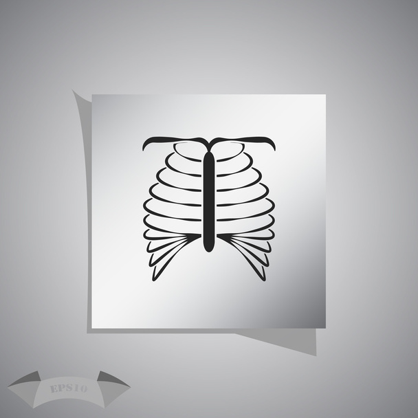 human chest icon - Vector, Image