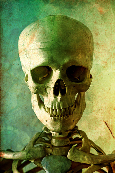 Boyalı bir iskelet portresi - Fotoğraf, Görsel