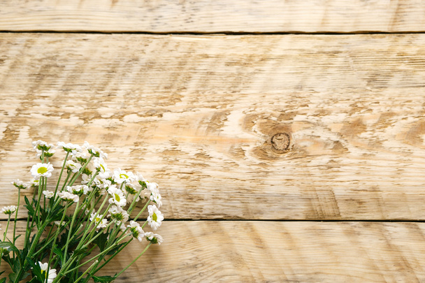 Весенние цветы ромашка на деревянной доске
 - Фото, изображение