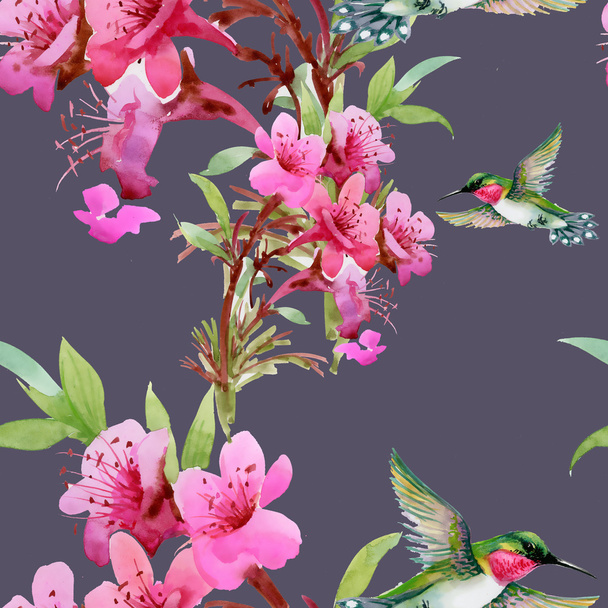 humming-birds and blooming flowers - Фото, зображення