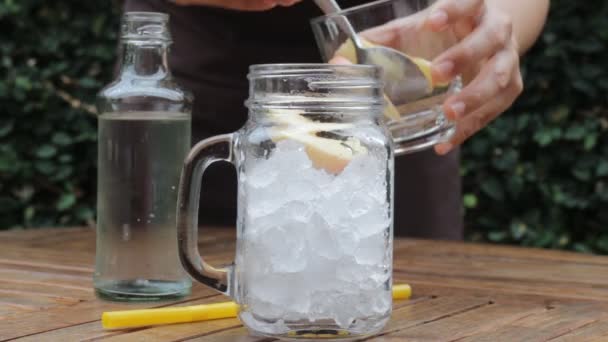 Fuji apple ανθρακούχο νερό κρύο ποτό - Πλάνα, βίντεο